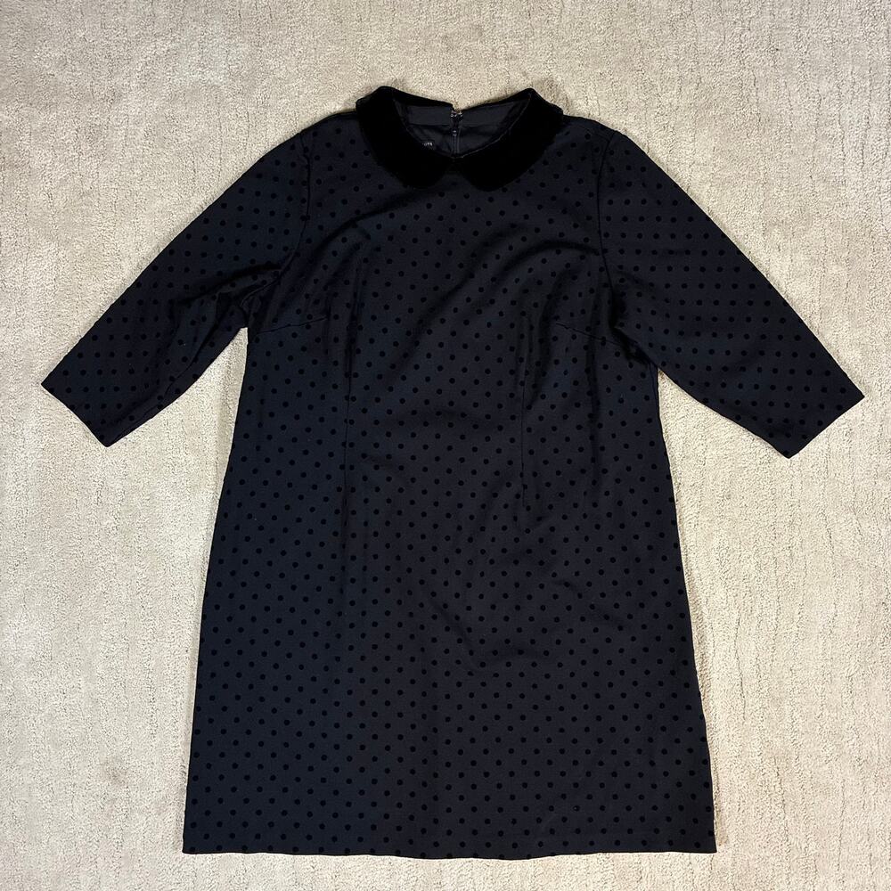 Talbots Plus Women 20w Black Velvet Polka Dot Peter Pan Collar Knee Length Dress